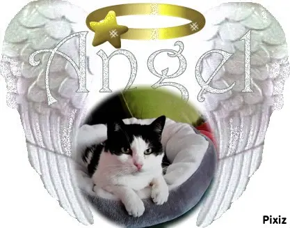 Condolence image of ❤️❤️❤️