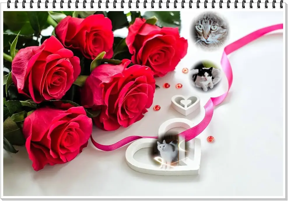 Condolence image of ❤️❤️❤️