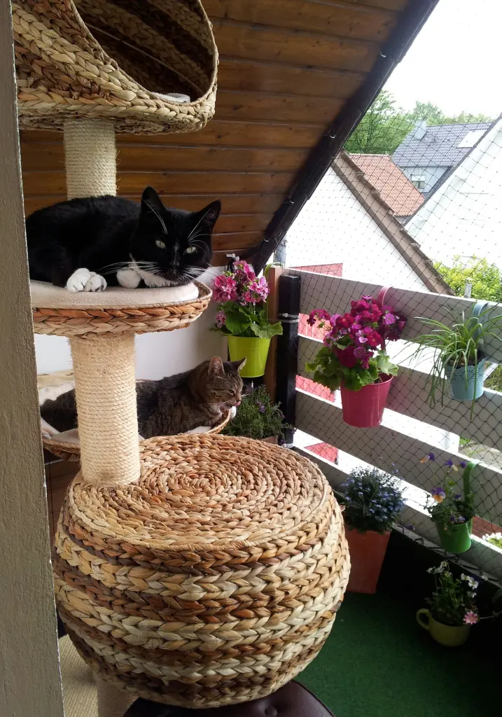 Condolence image of Ilse mit Gismo, Fee und Minna tief im Herzen