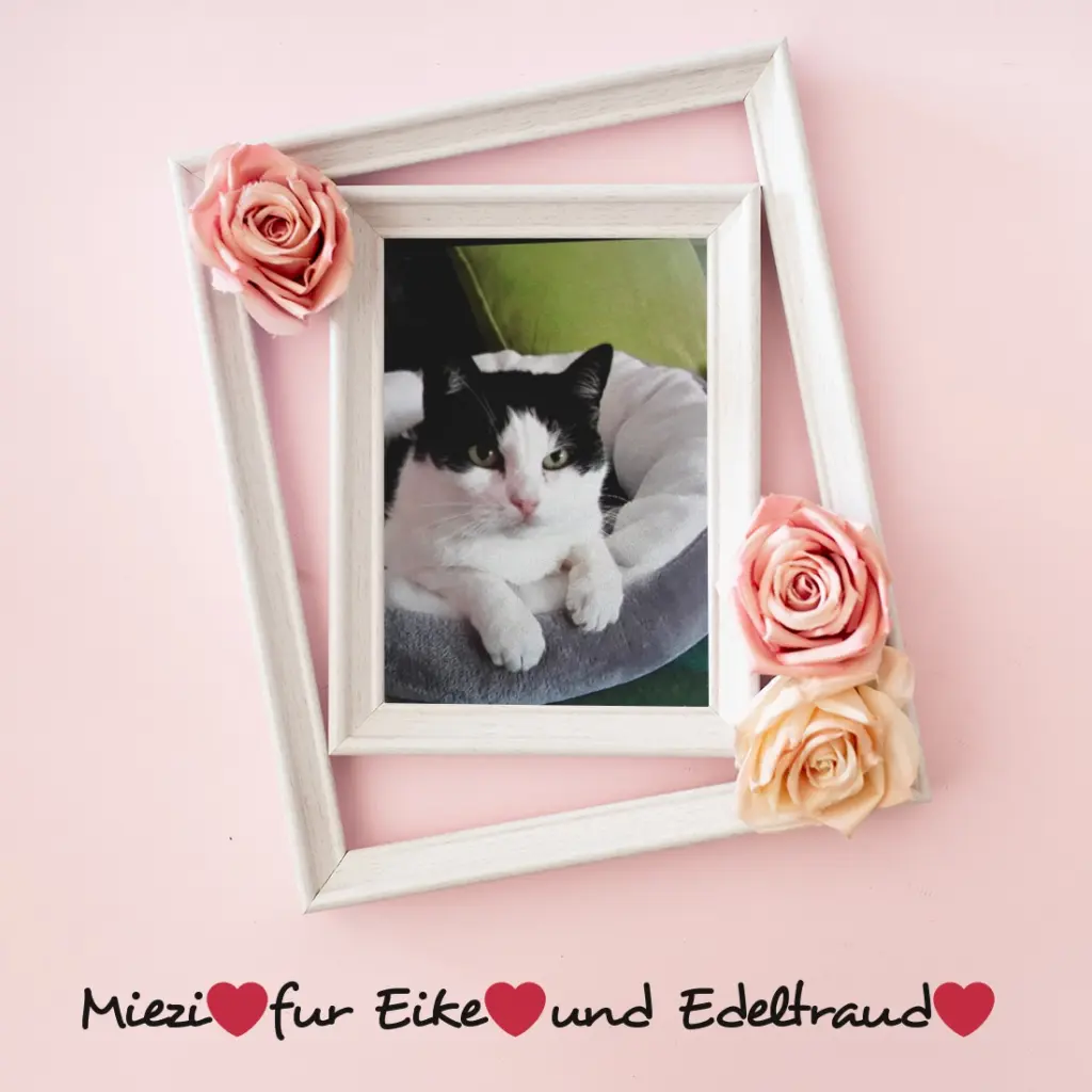 Condolence image of ❤️❤️❤️