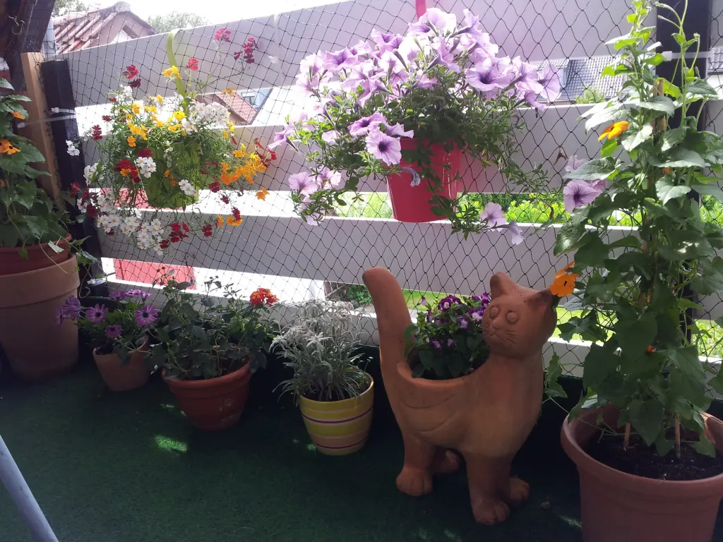 Condolence image of Ilse mit Gismo, Fee und Minna tief im Herzen