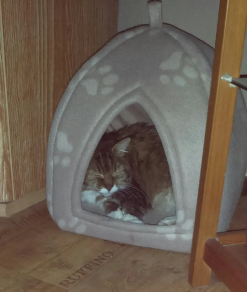 Condolence image of Unbekannt