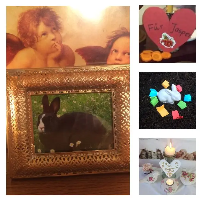 Condolence image of Danke 