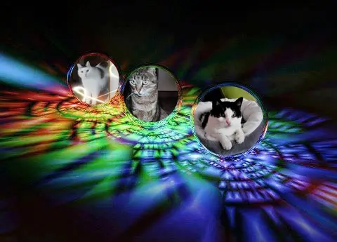 Condolence image of ❤️❤️❤️