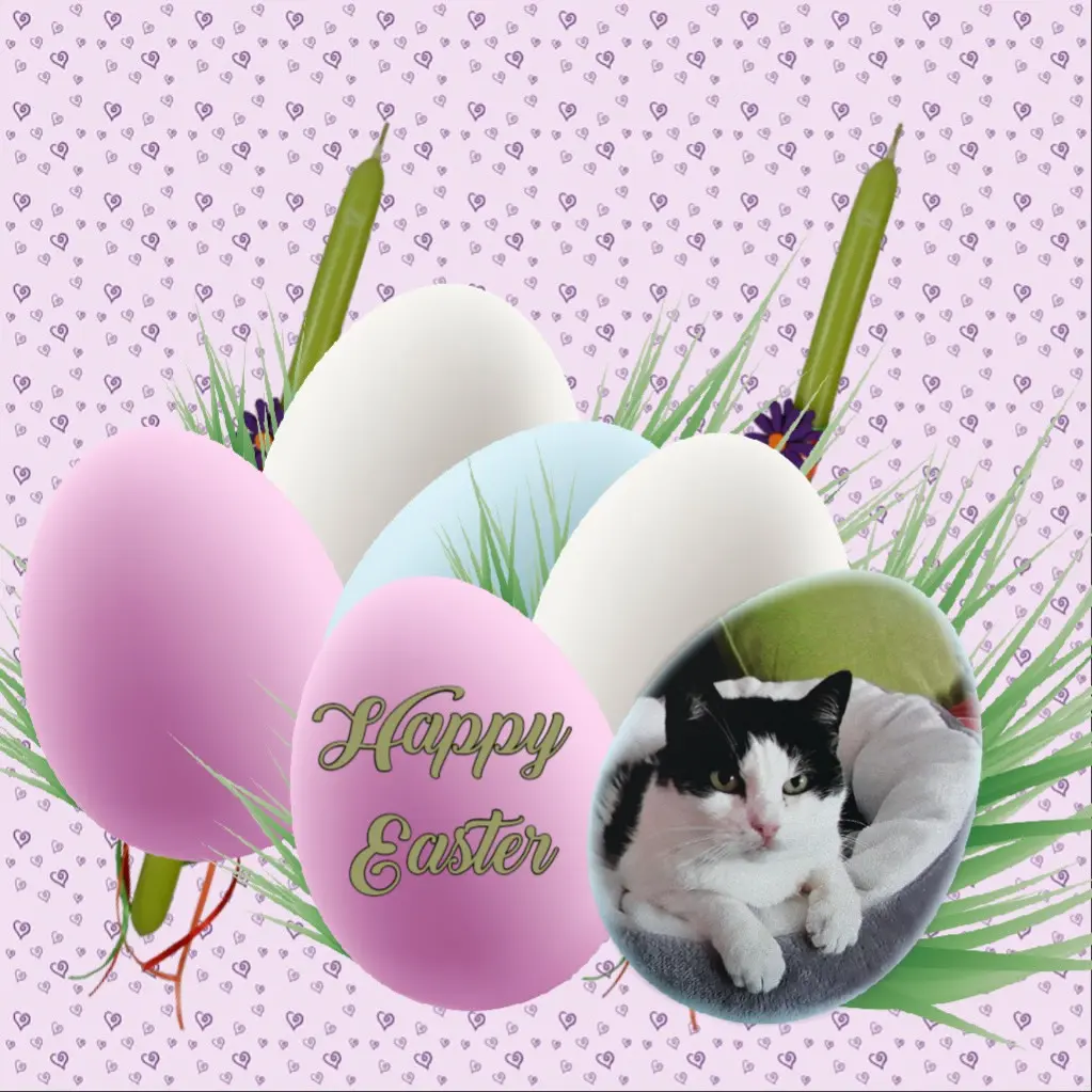 Condolence image of ❤️❤️❤️