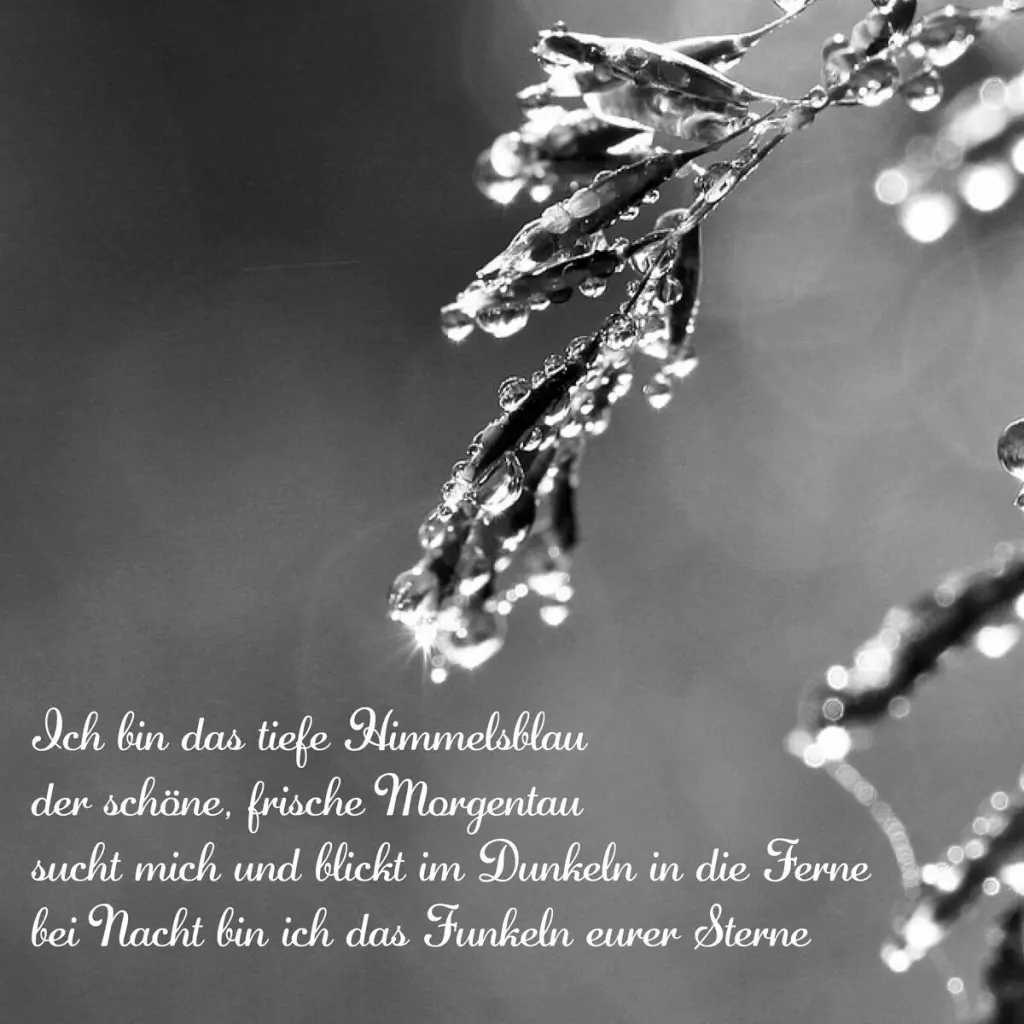 Condolence image of Ilse mit Jule, Gismo, Fee und Minna tief im Herzen