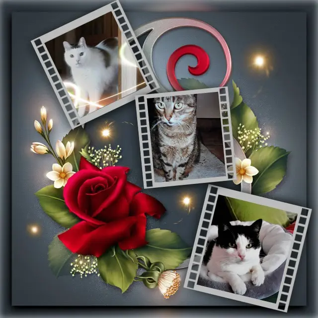 Condolence image of ❤️❤️❤️