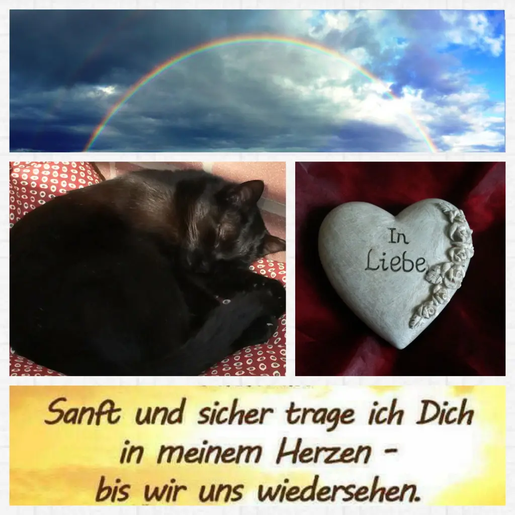 Condolence image of Anja mit Joy im Herzen ❤