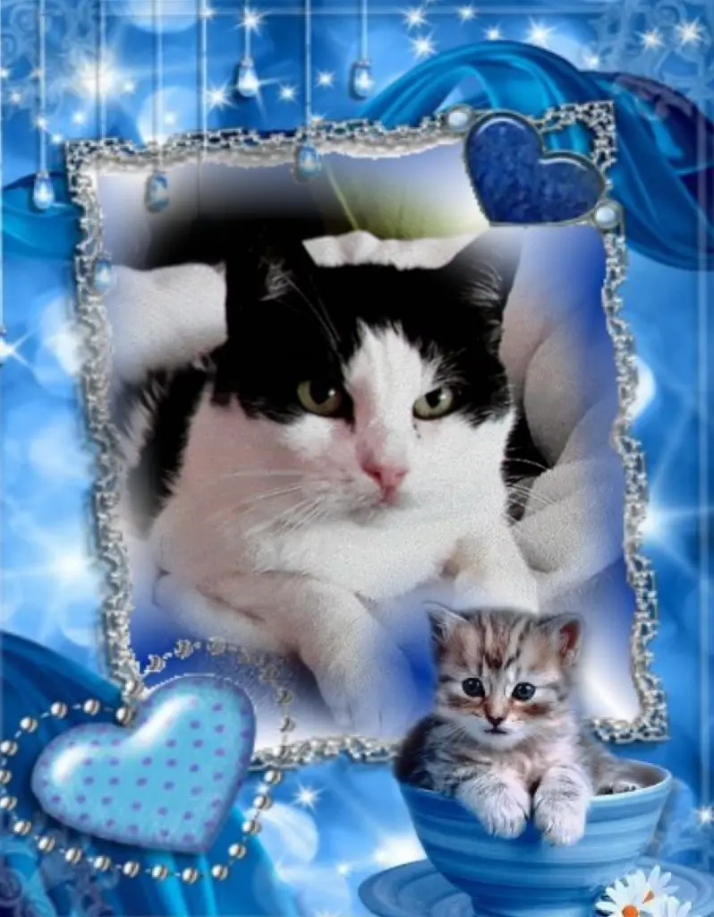 Condolence image of ❤️❤️❤️