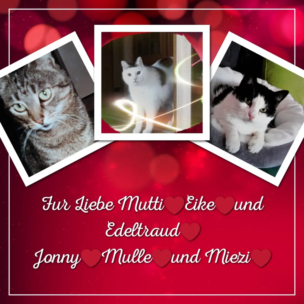 Condolence image of ❤️❤️❤️