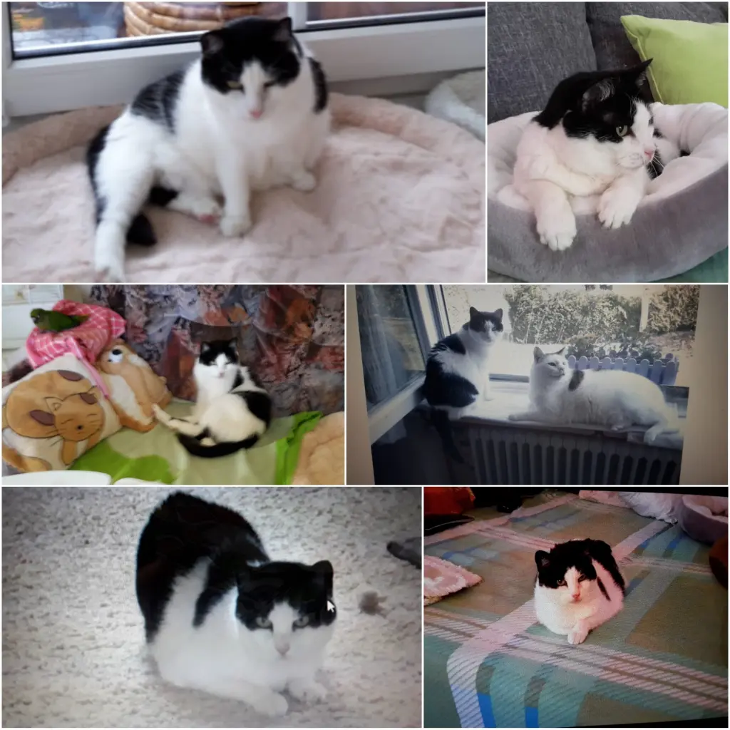 Condolence image of Deine Mutti Eike und Oma Edeltraud 