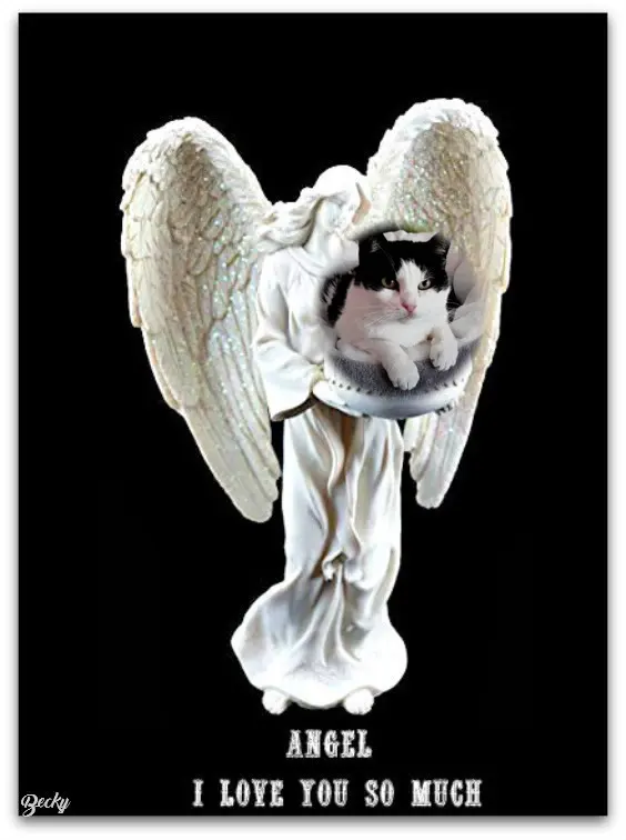 Condolence image of ❤️❤️❤️