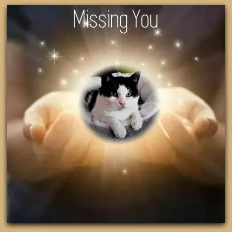 Condolence image of ❤️❤️❤️