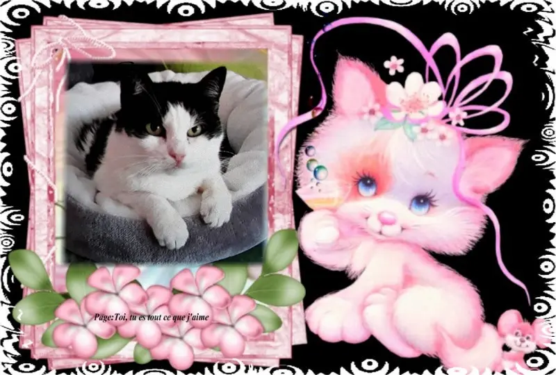 Condolence image of ❤️❤️❤️