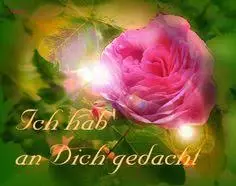 Condolence image of Brigitte mit Nelly, Benny und Axel im Herzen