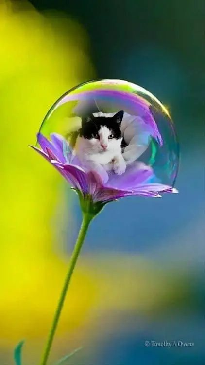 Condolence image of ❤️❤️❤️