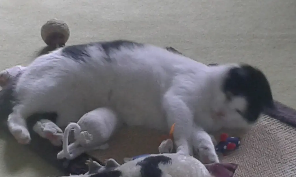 Condolence image of Deine Mutti Eike und Oma Edeltraud ♥️♥️♥️♥️♥️♥️♥️