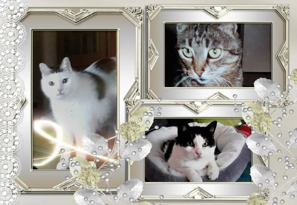 Condolence image of ❤️❤️❤️