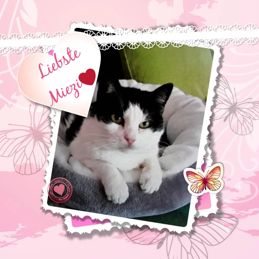 Condolence image of ❤️❤️❤️