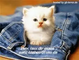 Condolence image of Brigitte mit Nelly, Benny und Axel im Herzen