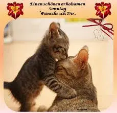 Condolence image of Brigitte mit Nelly, Benny und Axel im Herzen