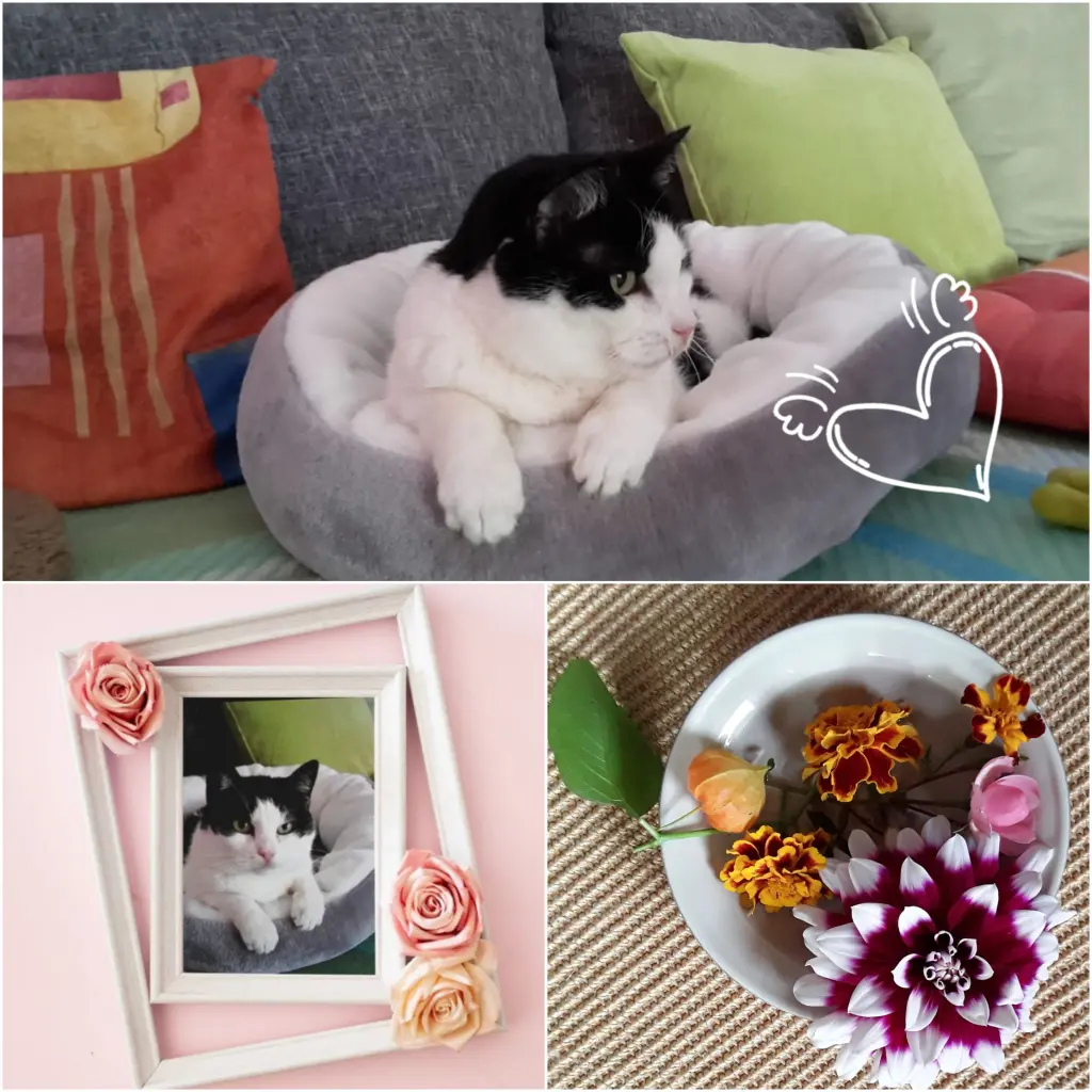 Condolence image of Deine Mutti Eike und Oma Edeltraud ♥️♥️