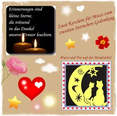 Condolence image of Ilse mit Tier-Sternlein Jule, Gismo, Fee und Minna im Herzen