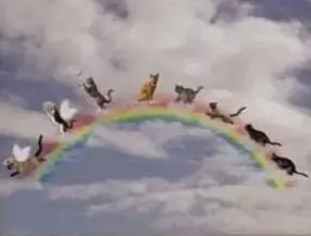 Condolence image of Ellen mit Lina ♥️