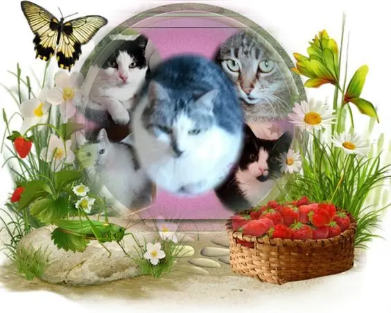 Condolence image of Deine Mutti Eike und Oma Edeltraud