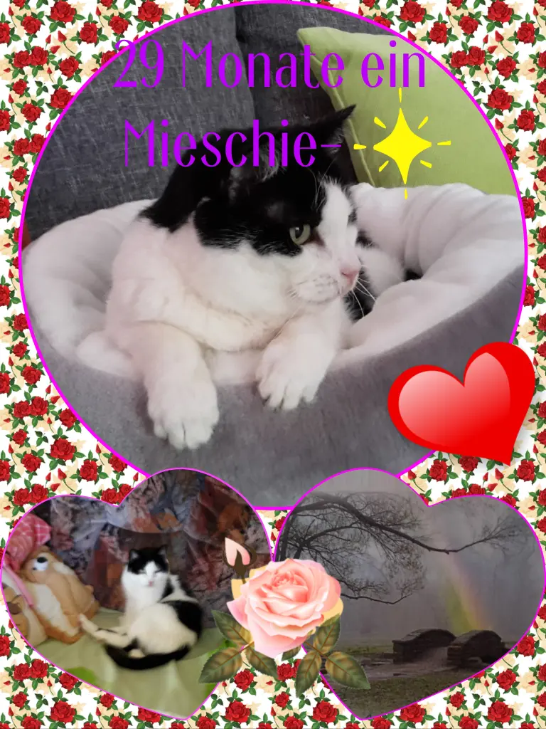 Condolence image of Deine Mutti Eike und Oma Edeltraud ❤❤