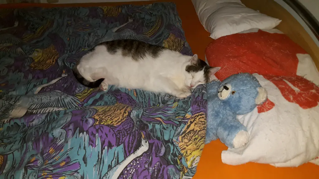 Condolence image of Deine Mutti Eike und Oma Edeltraud ❤❤