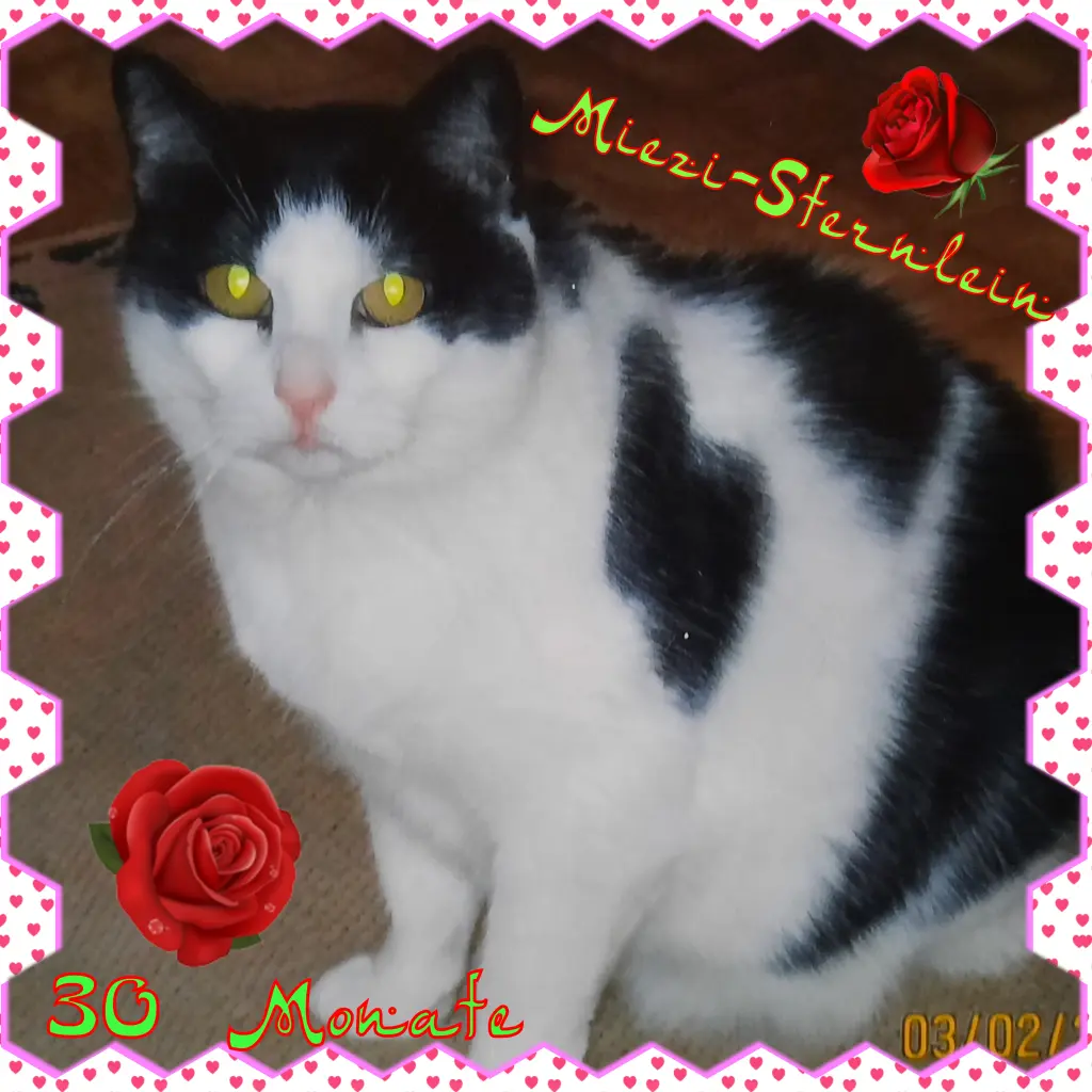 Condolence image of Deine Mutti Eike und Oma Edeltraud ❤❤