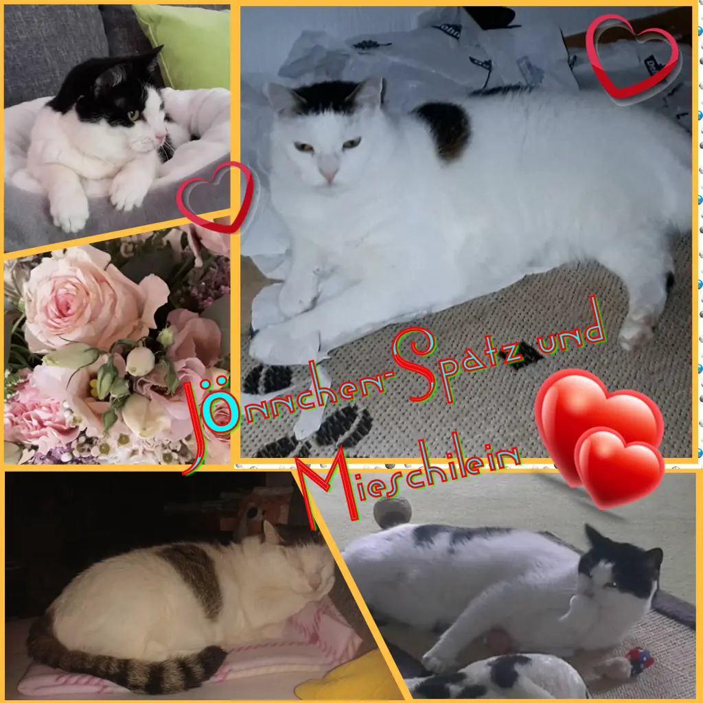 Condolence image of Deine Mutti Eike und Oma Edeltraud ❤❤