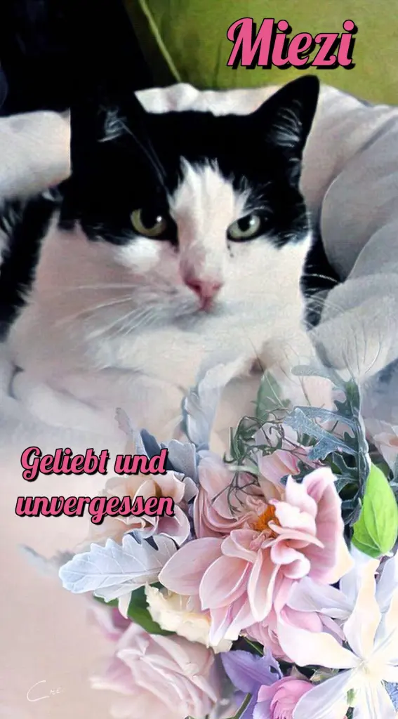 Condolence image of Ellen mit Lina ♥️