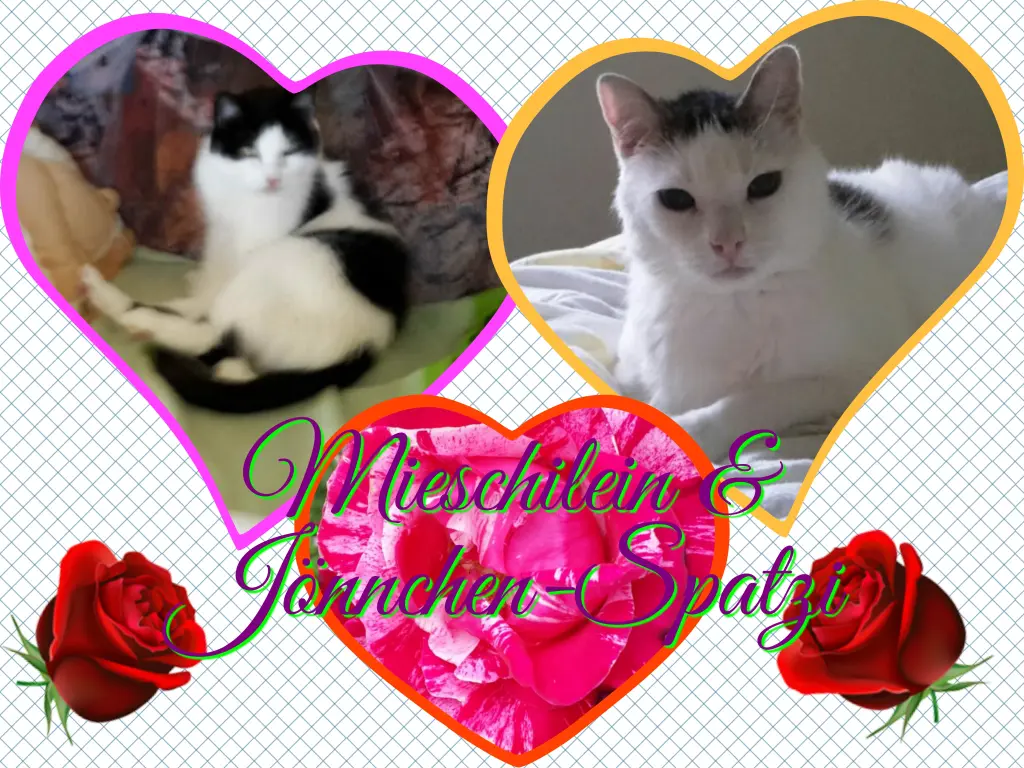 Condolence image of Deine Mutti Eike und Oma Edeltraud ❤❤