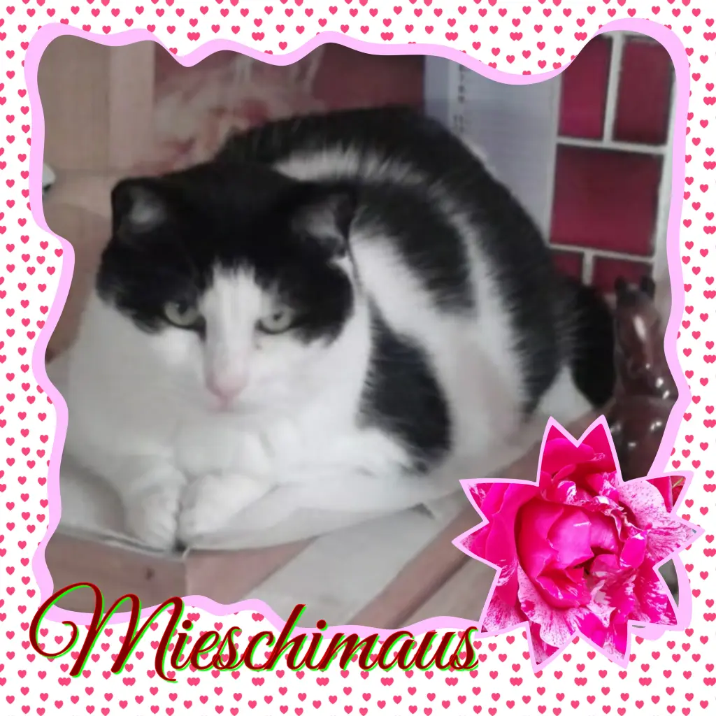 Condolence image of ❤Deine Mutti und Oma ❤