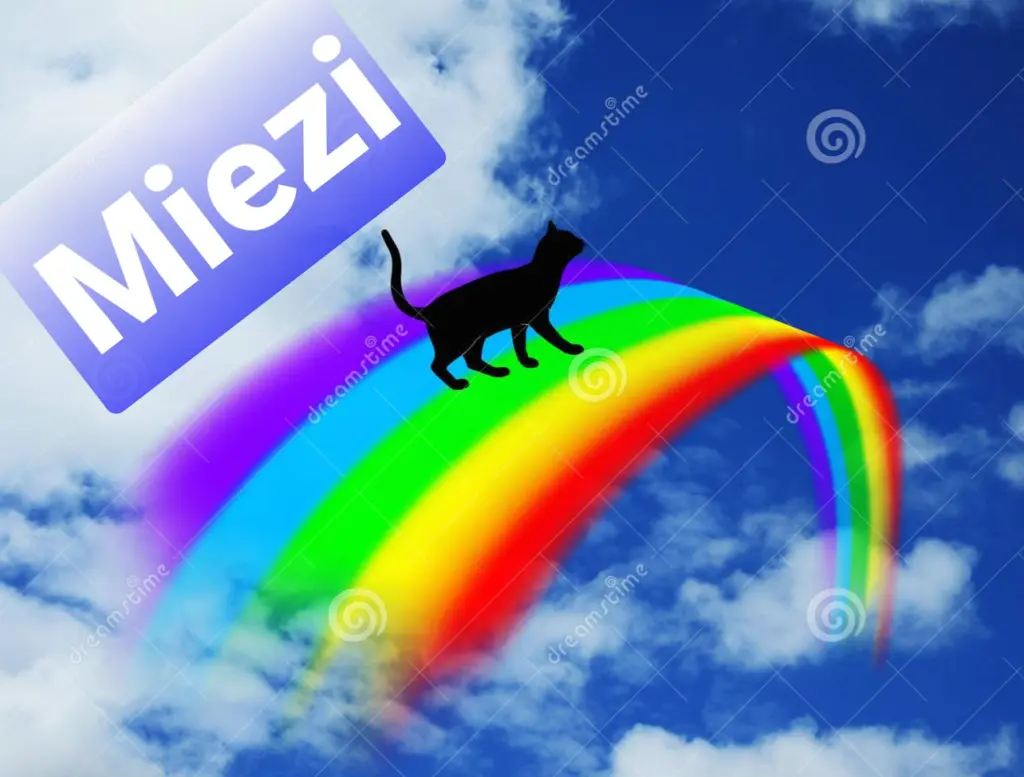 Condolence image of Tanja mit Timmy im Herzen 