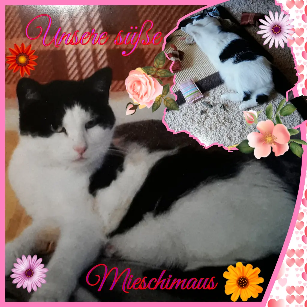 Condolence image of ❤Deine Mutti und Oma ❤