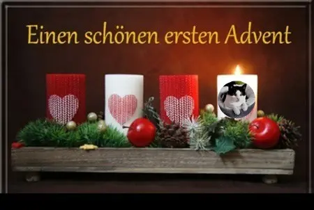 Condolence image of ❤️1. Advent❤️