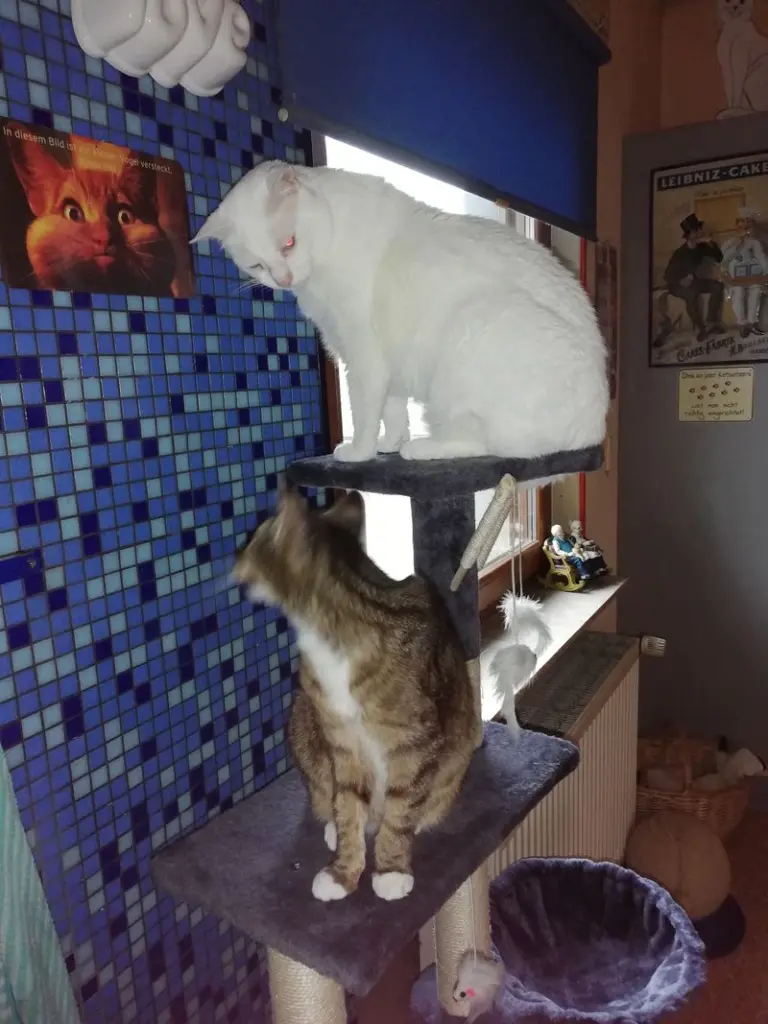 Condolence image of Marion