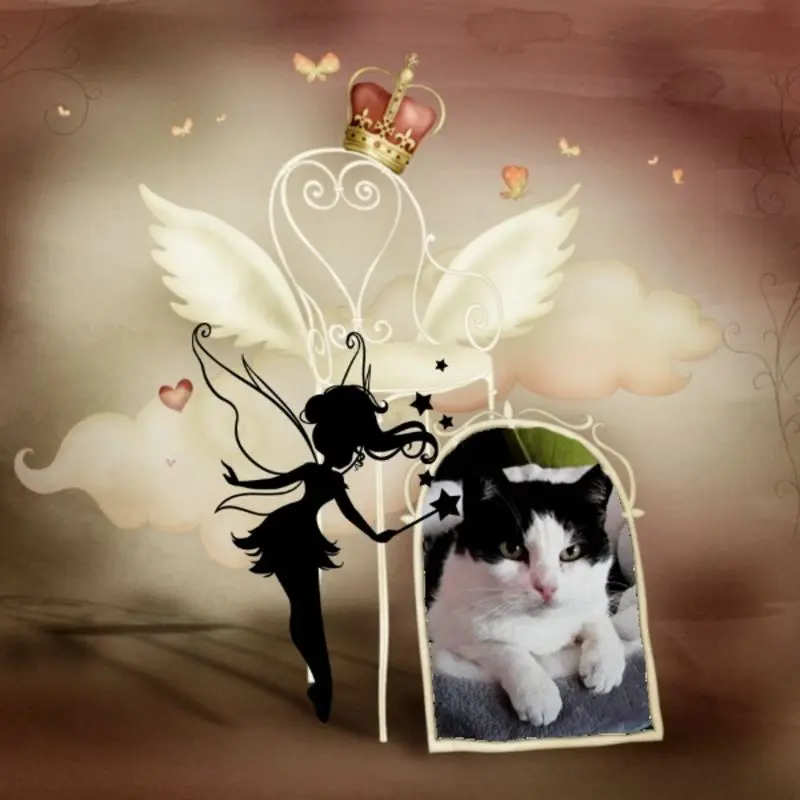 Condolence image of ❤️❤️❤️❤️❤️❤️❤️❤️❤️❤️❤️❤️❤️❤️