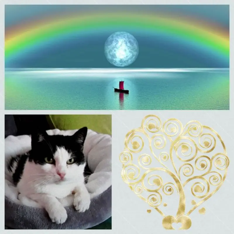 Condolence image of Anja mit Joy im Herzen 