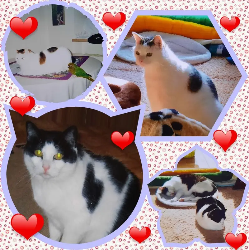 Condolence image of ❤Deine Mutti Eike und Oma Edeltraud ❤