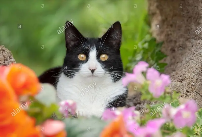 Condolence image of Tanja mit Timmy im Herzen 