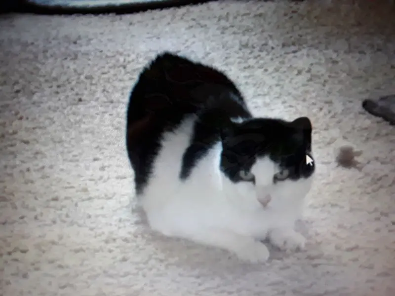 Condolence image of ❤Deine Mutti Eike und Oma Edeltraud ❤