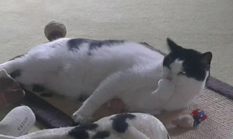 Condolence image of ❤Deine Mutti und deine Oma ❤