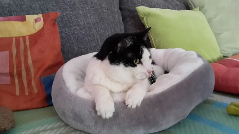 Condolence image of ❤Deine Mutti Eike und Oma Edeltraud ❤ 