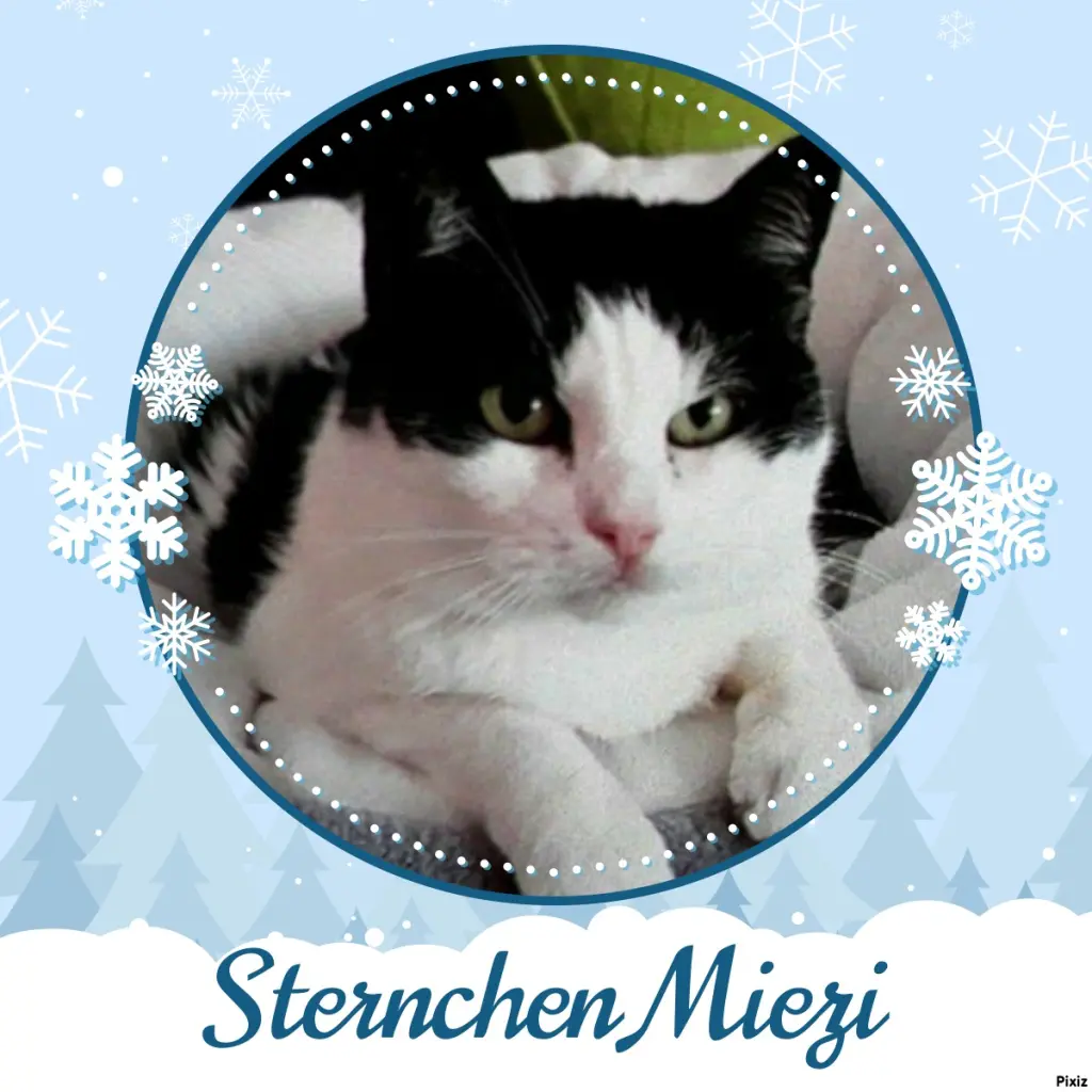 Condolence image of Tanja mit Timmy im Herzen 