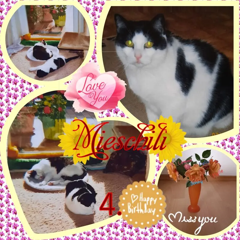 Condolence image of ❤Deine Mutti Eike und Oma Edeltraud ❤ 