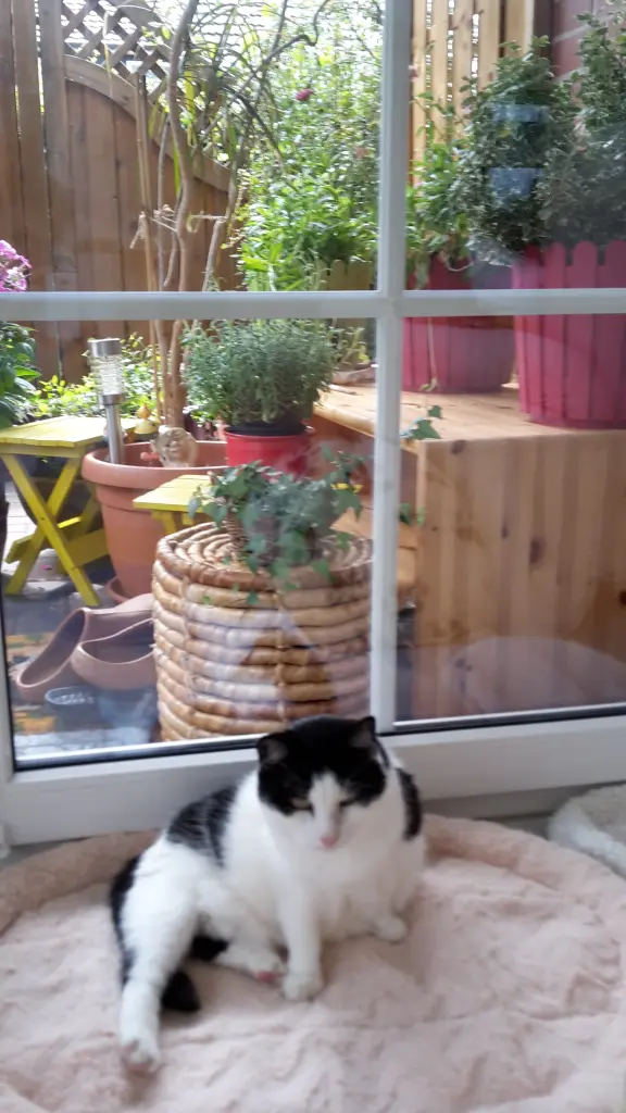 Condolence image of ❤Deine Mutti Eike und Oma Edeltraud ❤ 